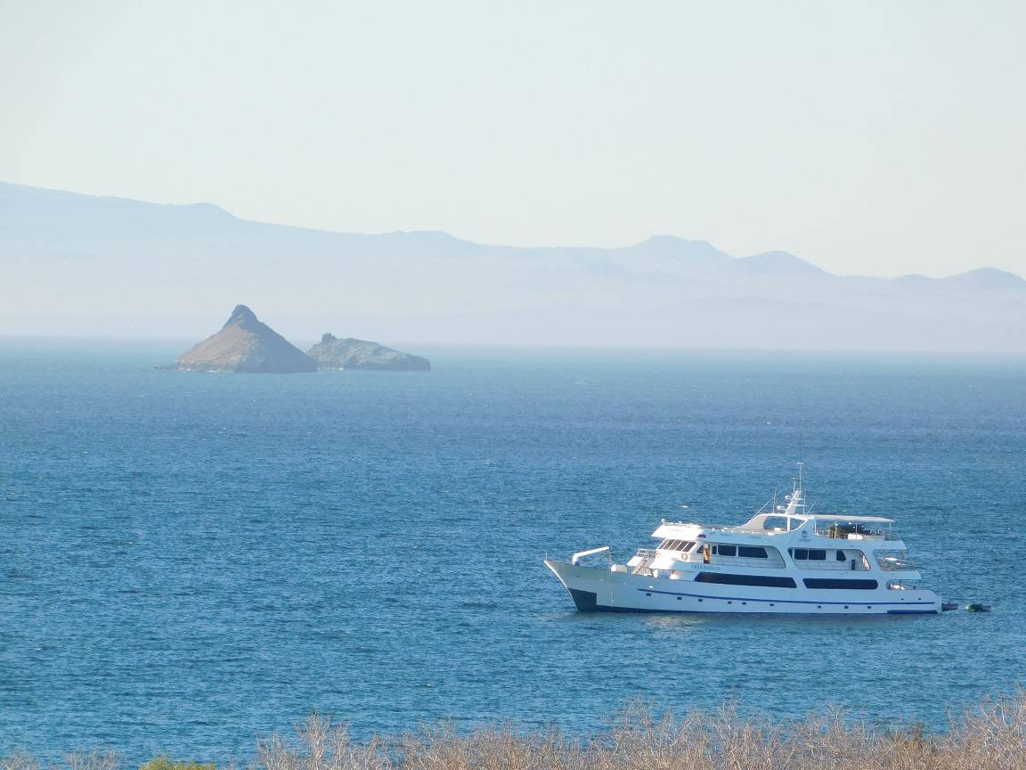 Galapagos Cruise: 8 days Ideal South America