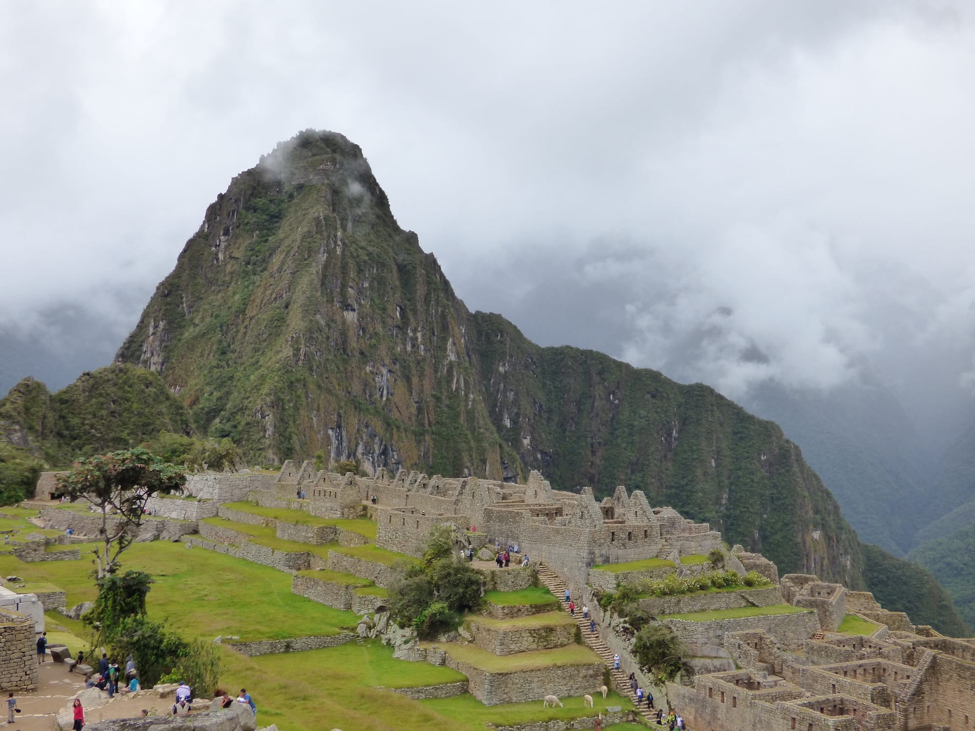 Machu Picchu and Galapagos Tours - Test Ideal South America