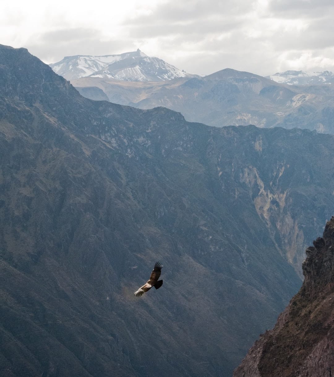 Tour of Southern Peru - Arequipa, Colca Canyon, Lake Titicaca, Cusco, Sacred Valley & Machu Picchu Ideal South America